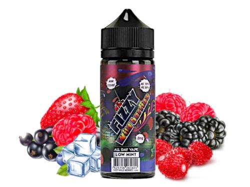 E Liquide - Wild Berries - 100 ml - Fizzy